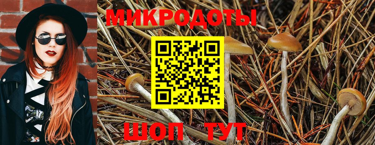 Псилоцибиновые грибы Psilocybine cubensis Александров