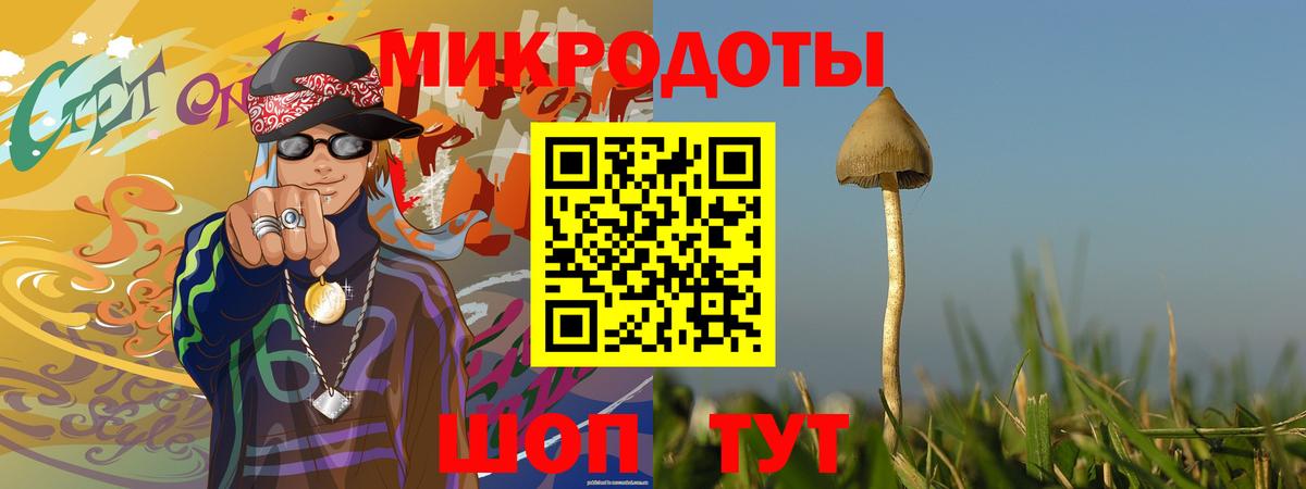 Александров  Псилоцибиновые грибы прущие грибы  Вход с VPN 